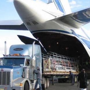 DDP Ups International Air Freight Forwarder From China To Usa Netherlands And Canada Shipping