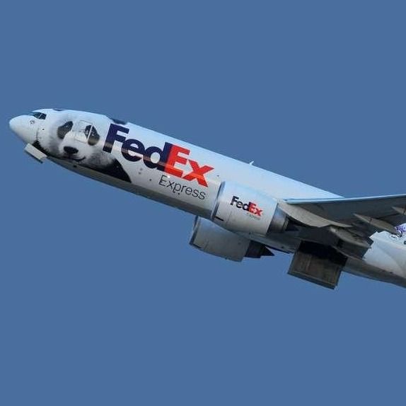 Luar Negeri Door To Door Pengiriman Internasional UPS Air Freight FedEx Dari Shanghai China Ke Israel