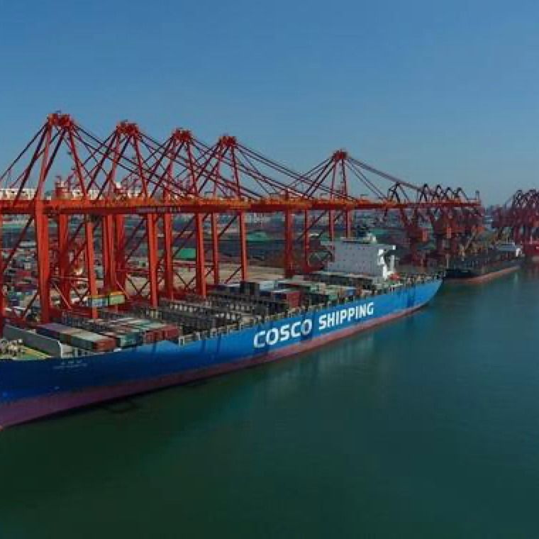 3c Pusat Pengiriman Drop Global FOB LCL Sea China To Jordan 3 Day Exw Freight Forwarder