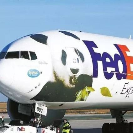 Pengiriman EKSPRES Ke Perancis Ups DHL Fedex Pengiriman Internasional Door To Door